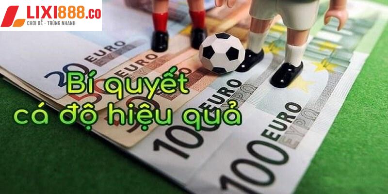 Tìm hiểu lịch sử thi đấu và đối đầu