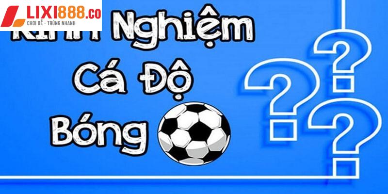 Một số kinh nghiệm cần biết khi tham gia