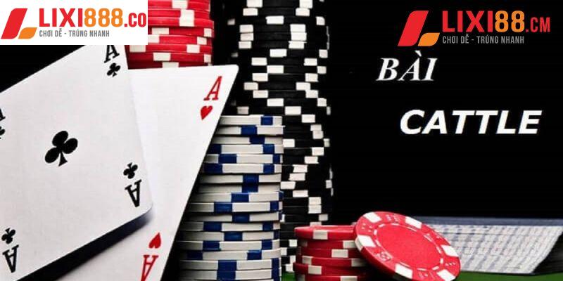Hướng dẫn chi tiết cách chơi bài Catte cho người chơi mới
