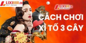 Cách chơi xì tố 3 cây và bí thuật tuyệt đỉnh từ Lixi88