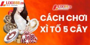 Cách chơi xì tố 5 cây chi tiết - đơn giản cho newbie tại Lixi88