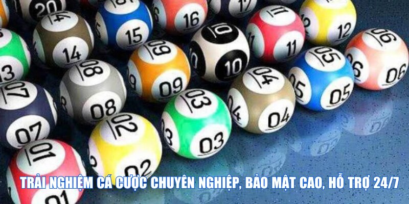 Trải nghiệm đa dạng các loại hình đem đến nhiều sự thú vị